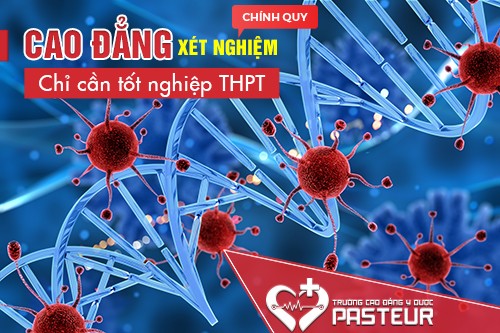 Cao Đẳng Xét Nghiệm Chỉ cần tốt nghiệp THPT